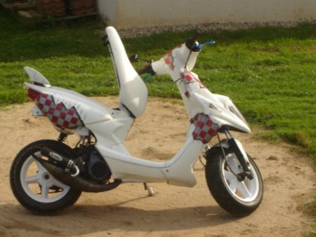 fion le ding